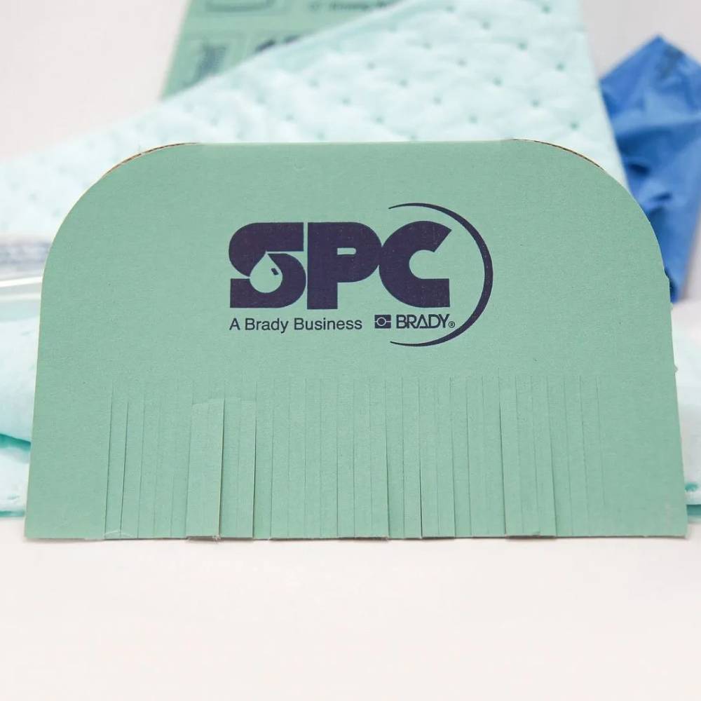 spc813868_4